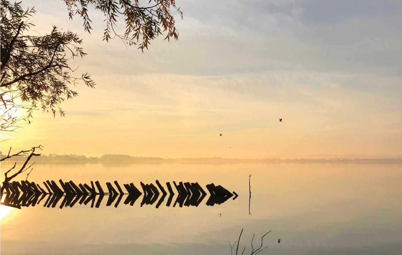 Nice Home In Lembruch-Duemmer See With Sauna Esterno foto