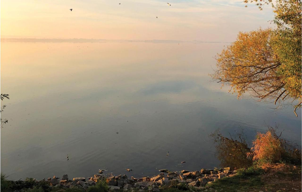 Nice Home In Lembruch-Duemmer See With Sauna Esterno foto